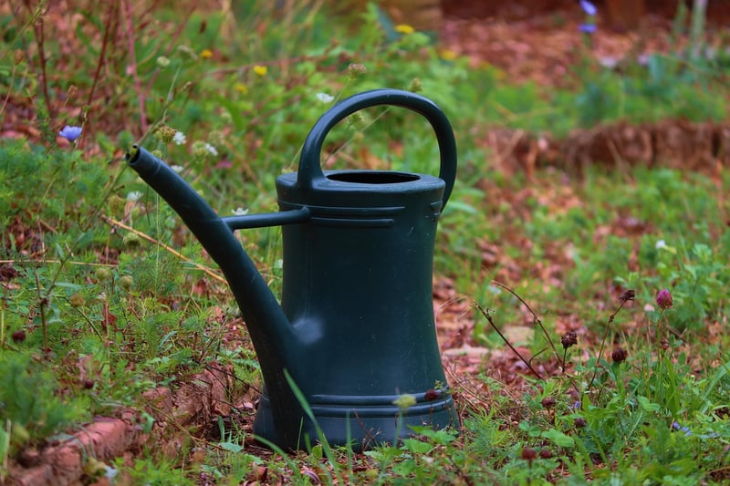 Watering Tools